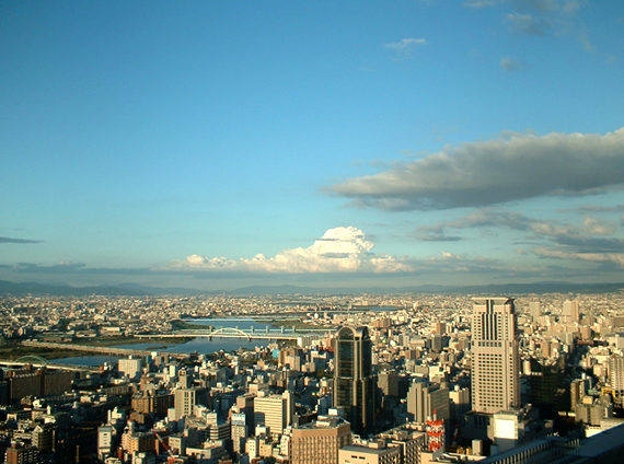 屋上からの眺め