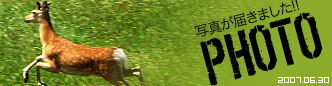 PHOTO第一弾