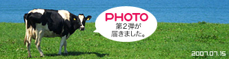 PHOTO第二弾