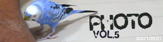 PHOTO第五弾